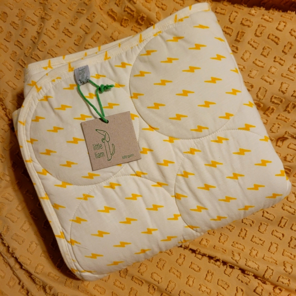Harry Potter themed Kate Quinn baby quilt